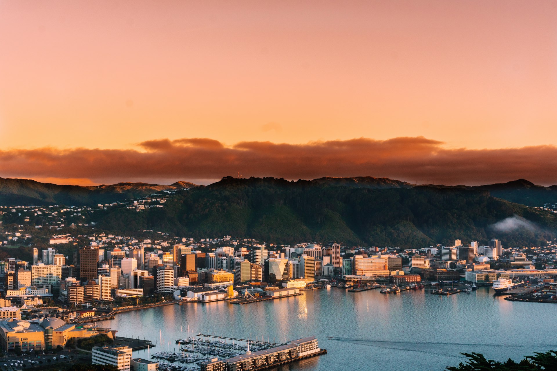 Wellington city - contact our offices nationwide